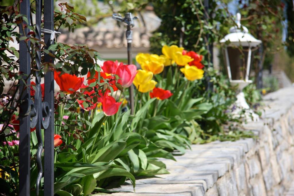 אנדוזה Logis Hotel Restaurant La Porte Des Cevennes מראה חיצוני תמונה